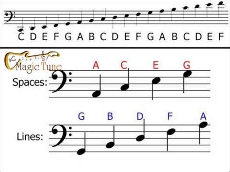 Notes On Bass Clef Ledger Lines | Bass Clef Notes