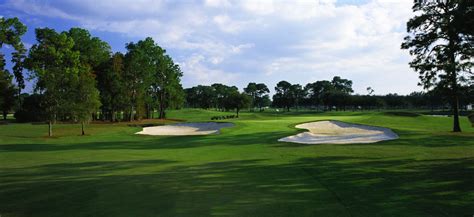 lansbrook golf club, palm harbor, Florida - Golf course information and reviews.