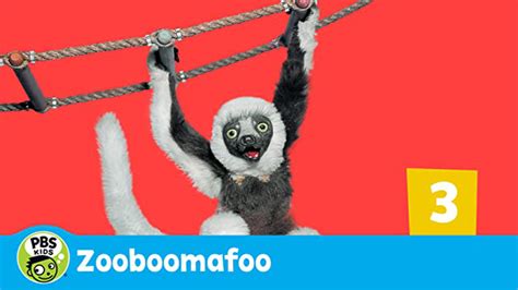 Zoboomafoo (2001) - Amazon Prime Video | Flixable