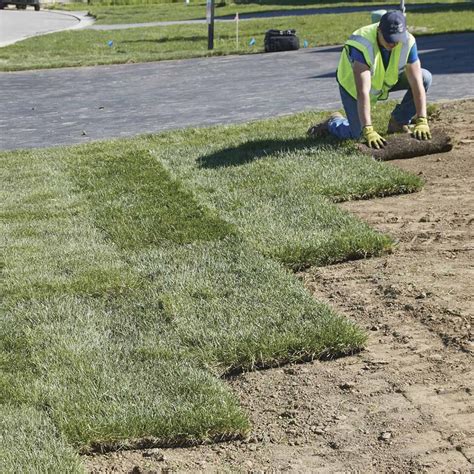 How to Prep for Sod Installation (DIY) | Family Handyman