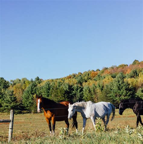 Vermont in Fall: How to spend three beautiful days in Vermont