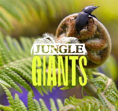 Heligan Jungle Giants Summer Holiday Adventure