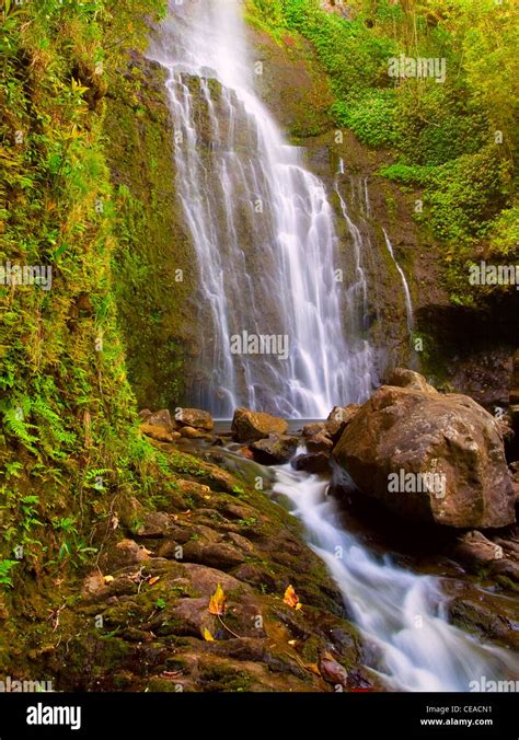 Beautiful Tropical Hawaiian Waterfall Stock Photo - Alamy