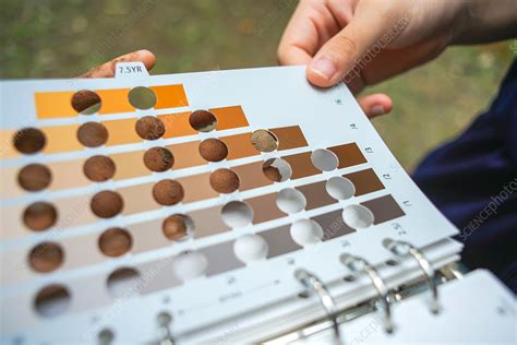 Soil colour chart - Stock Image - F032/3992 - Science Photo Library