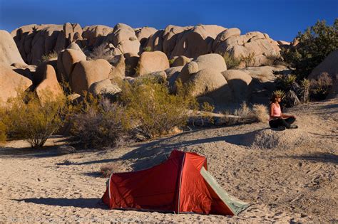 Camping, Joshua Tree National Park | Photos by Ron Niebrugge