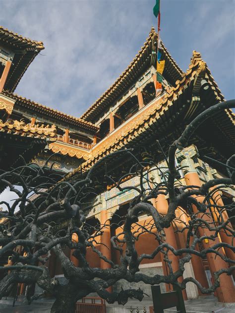 Le Temple Du Lama Photos | Télécharger des images gratuites sur Unsplash