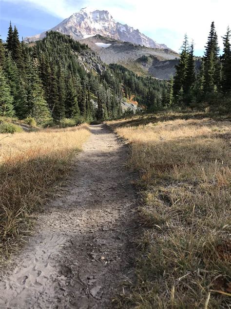 The trails around Mt Hood were incredible : r/hiking