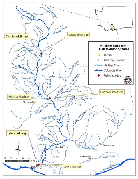 Klickitat Subbasin Fish Trap Data