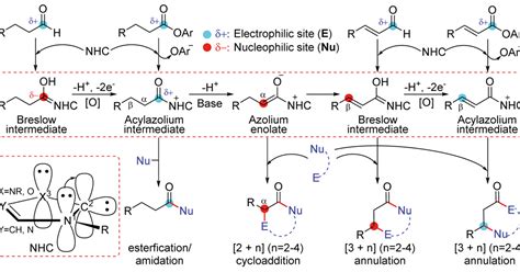 Mechanism maps predict chemoselectivity of NHC-catalysed transformations | Research | Chemistry ...