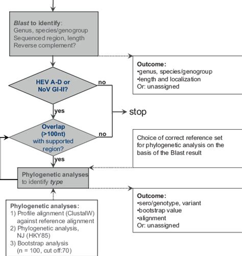 Steps in the genotyping algorithm of the typingtools. | Download ...