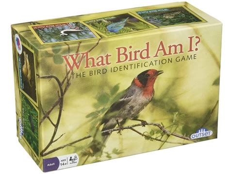 Best Bird Games for Kids - Recommendations for 2022