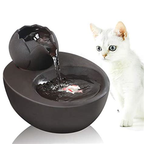 5 Best Water Fountains for Persian Cats (2024 Review)