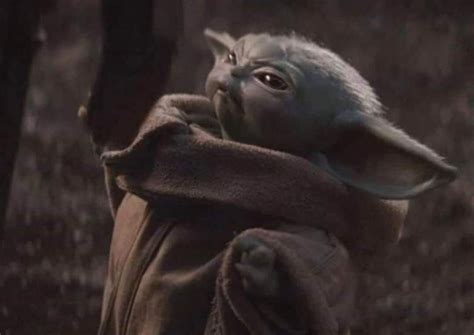 Baby Yoda Blank Meme Template Yoda Meme, Yoda Funny, Star Wars Icons, Star Wars Art, Meme Faces ...