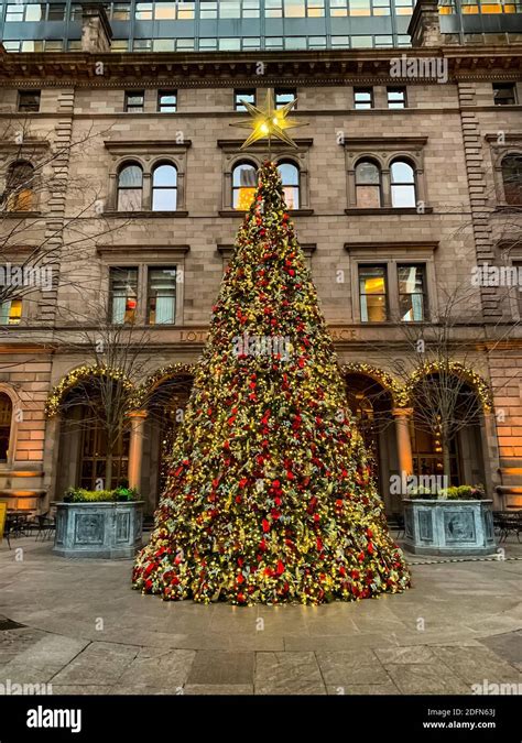 Christmas Tree in front of Lotte New York Palace hotel in New York City ...