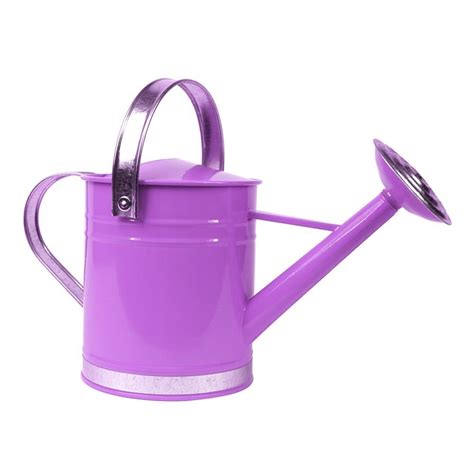 Arcadia Garden Products Basic 1 Gal. Purple Metal Watering Can-WC07 - The Home Depot