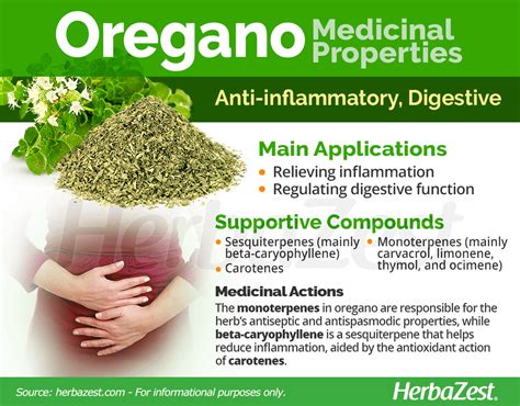 Oregano | HerbaZest