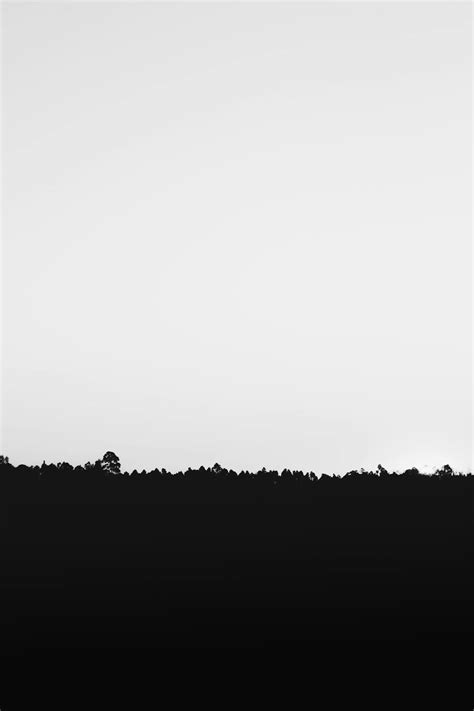 Silhouette of Grass Under White Sky · Free Stock Photo