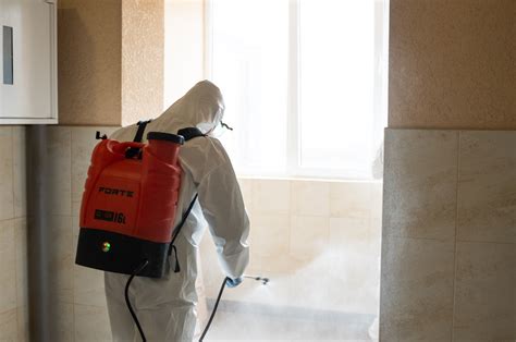 Mold Abatement vs. Remediation: Understanding the Key Differences