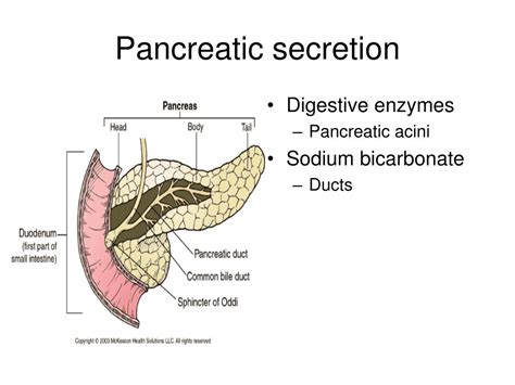 PPT - GI tract secretion PowerPoint Presentation - ID:443518