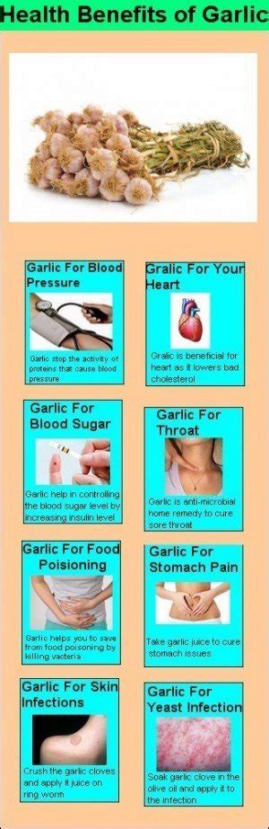 Health benefits of garlic