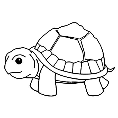 Birthday Turtle Page Coloring Pages