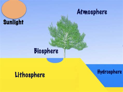 Topic 1: Earth's Spheres, Atmosphere, and Water Cycle - Dizon's Diggs