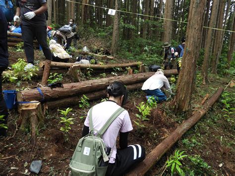 Four-year forests: The Japanese way to 'rewild the world' - The Japan Times