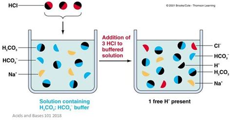 Acid-Base Buffers | Facts, Summary & Definition | Chemistry Revision