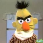 Sesame Street - Angry Bert Meme Generator - Imgflip