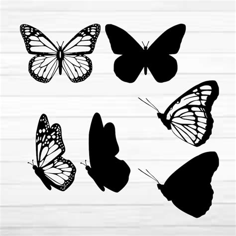 Layered Butterfly Bundle Cricut SVG PNG Files Butterflies | Etsy