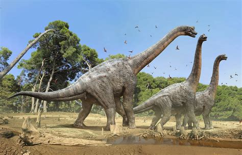 Dinosaurios herbívoros: características y tipos - EspacioCiencia.com