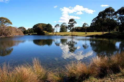 Centennial park Sydney | Centennial Park is a large public, … | Flickr