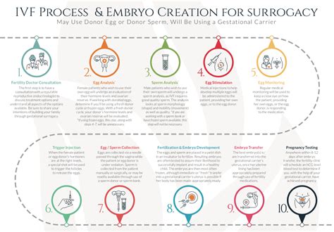 Understanding The Basics Of IVF Process - Bringing New Life