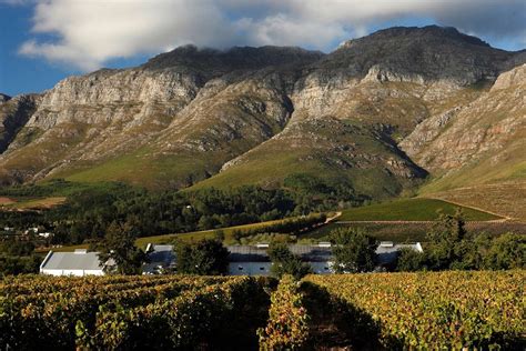 Annual Upper Blaauwklippen Vintners Tasting in Stellenbosch | CapeTown ETC