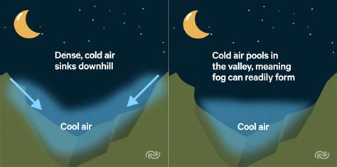 The Physics of Fog | MetService Blog