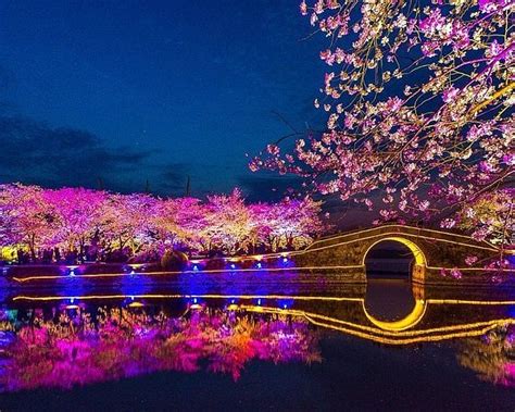 THE 10 BEST Things to Do in Wuxi (2024) - Must-See Attractions