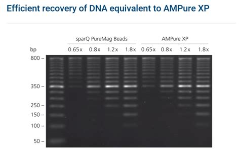 sparQ Pure Mag Beads - Fast, reliable DNA purification & size selection for NGS workflows ...