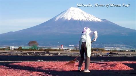 Shizuoka Prefecture – Tourist Attractions of 4 Seasons | Japan Trip Videos