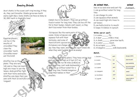 Amazing Animals - ESL worksheet by crisvalper