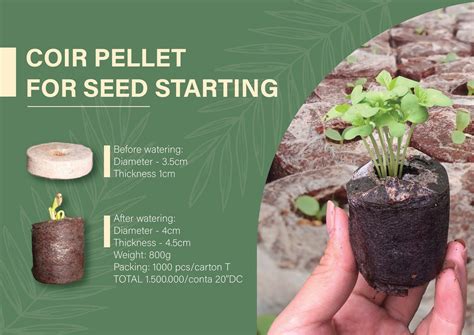 HOW TO USE COCO COIR PELLETS? - COCO HITECH