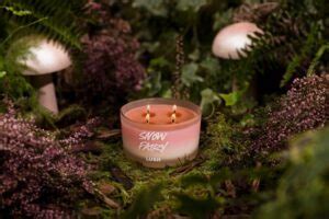 Lush Candle Review from Snow Fairy to Sleepy: Shop or Skip?