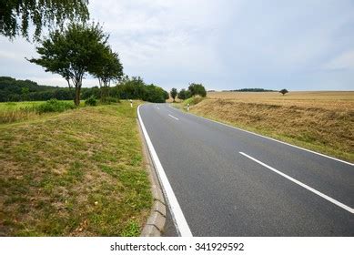 Dead Koala On Road Roadkill Stock Photo 1339364762 | Shutterstock