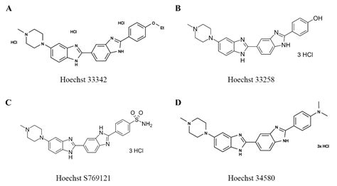 Hoechst DNA Stains for Live and Fixed Cells | AAT Bioquest