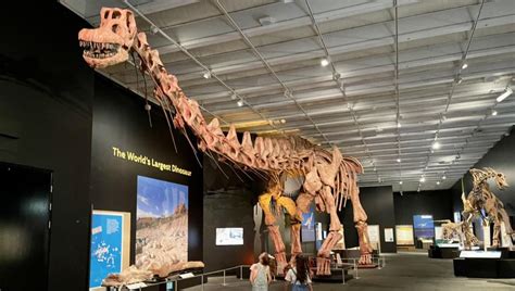 Dinosaurs of Patagonia: QLD Museum's Dino-Mite Exhibition