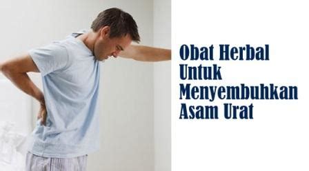 Cara Membuat Obat Herbal Untuk Asam Urat | Inkesehatan