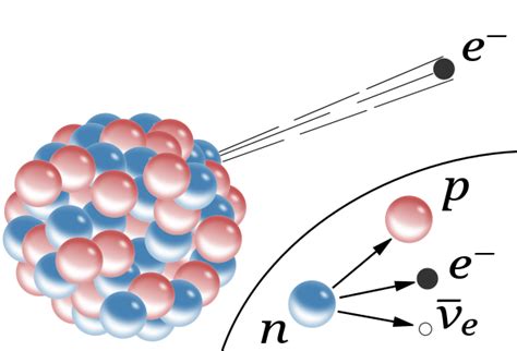 Free neutron decay - Wikipedia