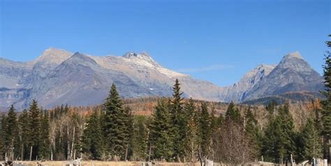 Conservation groups say they’ll challenge Flathead NF Plan in court