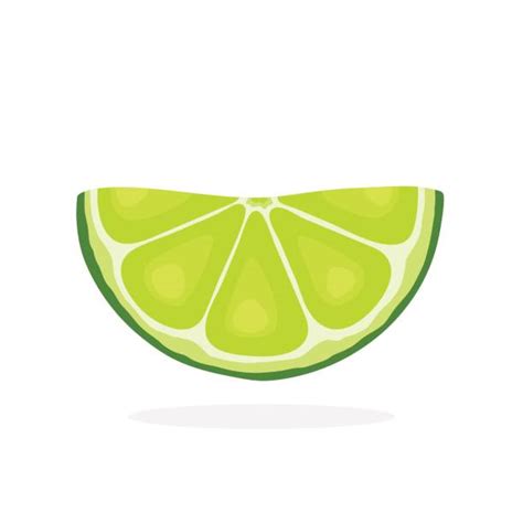 clip art lime 20 free Cliparts | Download images on Clipground 2024