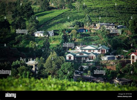 beautiful landscape of Ceylon. tea plantations and ancient houses Stock ...