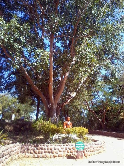 Pillalamarri Banyan Tree in Mahabubnagar - Indian Temples List